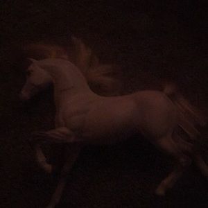 Horses